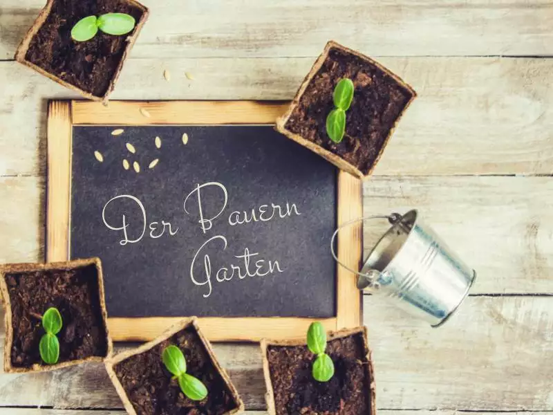 Der Bauerngarten